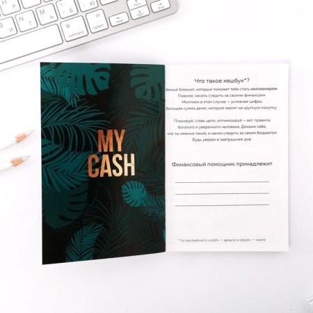 Smart notebook Cashbook A6, 68 sheets I NEED My Money-2