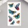Tattoo on the body color "butterflies" 10.5x6 cm