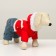 Assumes "Kid", size 12 (DS 28 cm, OG 38 cm, Osh 27 cm), red-gray