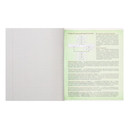 Subject Calligrata "Animals Memes", 36 sheets in a biology cage, with reference material, covered paper cover, block No. 2 (gray sheets)-2