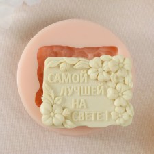 Mold Silicon 
