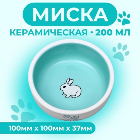 Ceramic bowl for rabbits 200 ml 10 x 3.7 cm, white-green