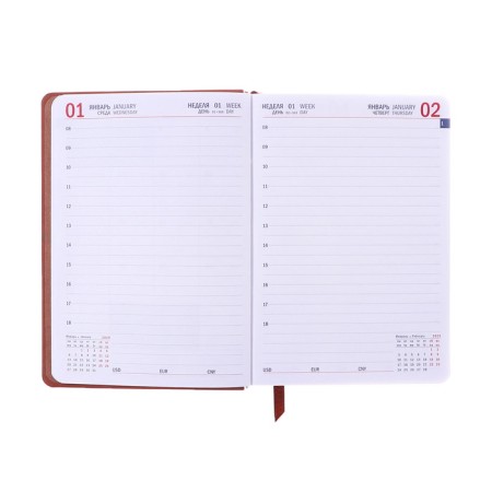 Dated diary of 2025, A6+, 176 sheets "Lyon", solid cover, pancake embossing, with liesa, block 80 g/m2, brown-10