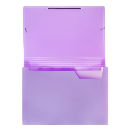 Folder Carder Calligrata watercolor 6 department. A4 plastic 0.7mm lavender, black resident-3