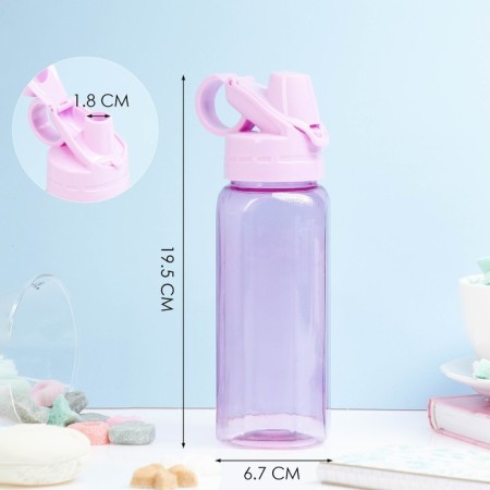 Water bottle, 450 ml, 20 x 8 cm, mix-1
