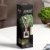 Areon Sticks Lux, Perez, Cardamon, 150 ml