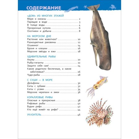 Encyclopedia for kindergarten "Underwater World"-2