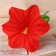 Artificial flowers "Hippeastrum" D-12 cm H-23 cm, red
