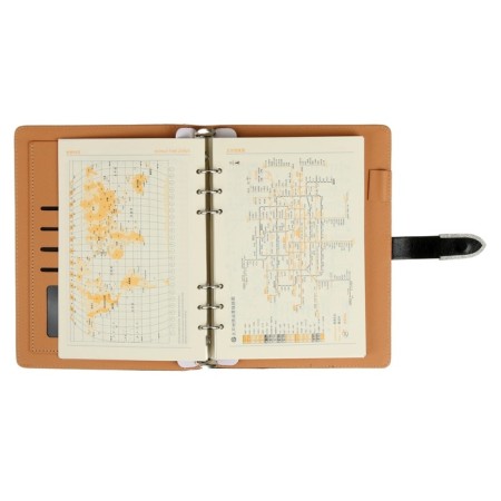 Organizer on the rings A5, 90 sheets in the ruler, with a stream, mix-14
