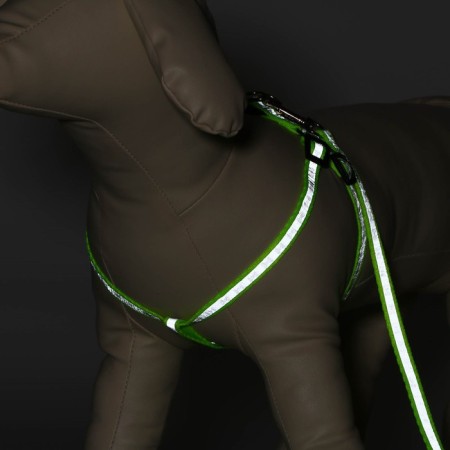 The reflective “bones” set, a collar 120 x 1 cm, Osh 26-42 cm, fire 26-42 cm, green-1