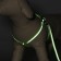 The reflective “bones” set, a collar 120 x 1 cm, Osh 26-42 cm, fire 26-42 cm, green