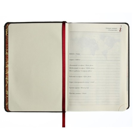 Leduced A5 Diary, 136 Velvet Index sheets, hard cover, artificial leather, Soft Touch lamination, lies, tinted block 70 g/m2, gray-3