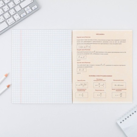 An objective notebook 48 sheets, A5, Cat, with reference materials “September 1: Physics”, cover coated cardboard 230 gr., Inner block in a cage 80 gr., Beliac 96%, block No. 1.-3