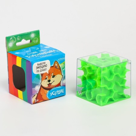 Puzzle-maze "zeal"-1