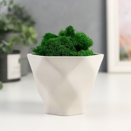 Kashpo concrete "Fantasy" with moss height 9 cm white (moss green stabilized)