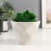 Kashpo concrete "Fantasy" with moss height 9 cm white (moss green stabilized)