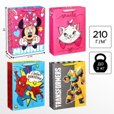 Laminated vertic package, 31x40x1.5 cm, Minnie, transformers, cat Marie, emergency mix
