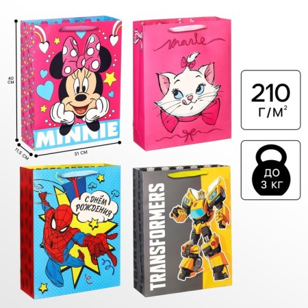 Laminated vertic package, 31x40x1.5 cm, Minnie, transformers, cat Marie, emergency mix