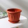 Pot with the Podon "Alice", 1 L, Terracotta Color