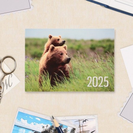 Pocket calendar "Animals" 2025, 7 x 10 cm-6