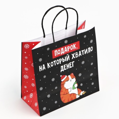 Package Gift "Gift", 22 x 22 x 11 cm, new year-4