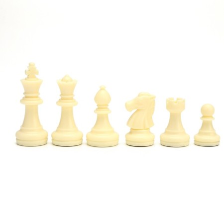 Board game 3 in 1 "Classic": chess, checkers, backgammon, magnetic board, 25 x 25 cm-2