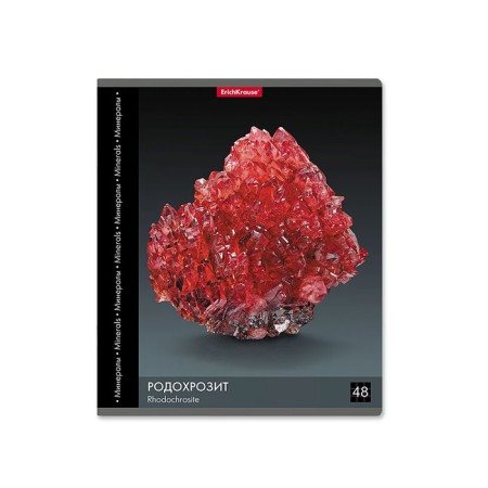 Notebook 48l Erichkrause "Encyclopedia: Minerals", mix-7