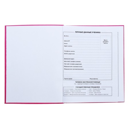 Universal diary for grades 1-11, 48 Kota sheets, integral cover, glossy lamination-5