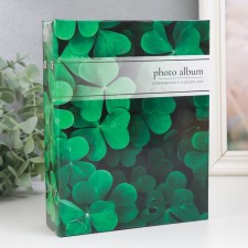 Photo album in 100 photos 13x18 cm 