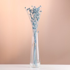 A set of dried flowers 