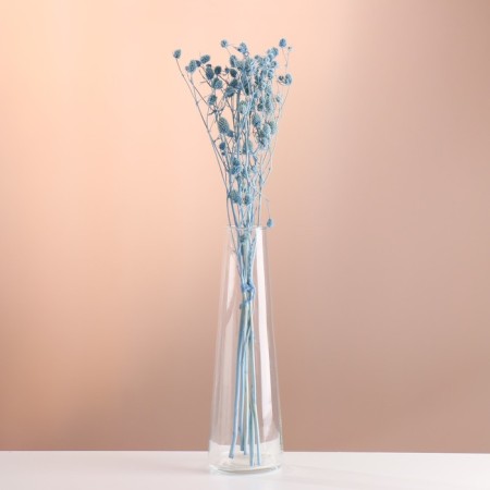 A set of dried flowers "Eringium", ban 5 pcs, length 50 (+/- 6 cm), blue