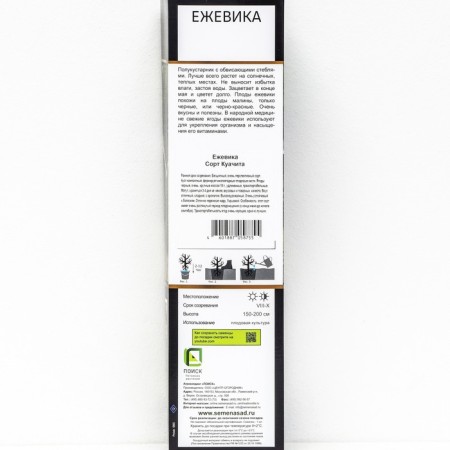 Blackberry Lux "Loch Tey", 1 pc, tube, spring 2025-1