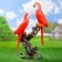 Garden figure "Medium parrots" 15x32x50cm
