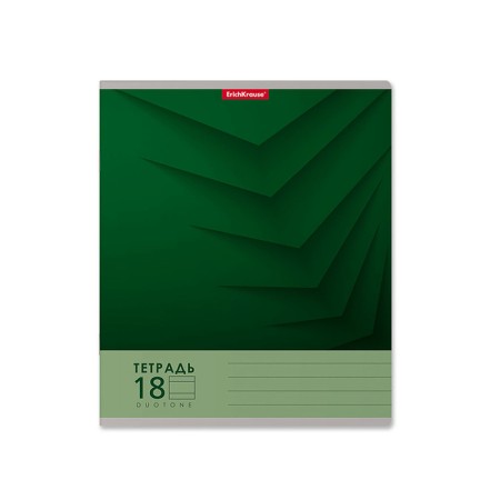 A notebook of 18 sheets in the Erichkrause "Duotone Next", the cover coated cardboard, an offset block 100% whiteness, mix-4