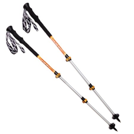 Tracking sticks EDGE, set-1 pair