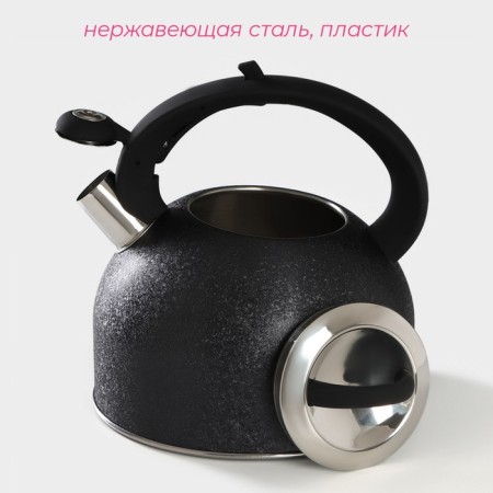 A kettle with a stainless steel whistle Snow, 3 l, induction, black color-1