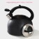 A kettle with a stainless steel whistle Snow, 3 l, induction, black color