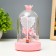 Night -night flask "Two Swan" LED from batteries 3HAAA Pink 9.5x9.5x16 cm Risalux