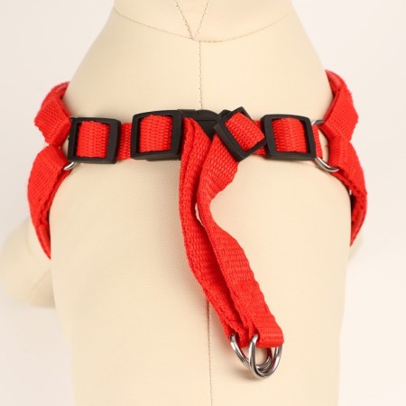 COMPORTS COLLECT COMBODY, 1.5 cm, Osh 36-50 cm, og 40-55 cm, red-3