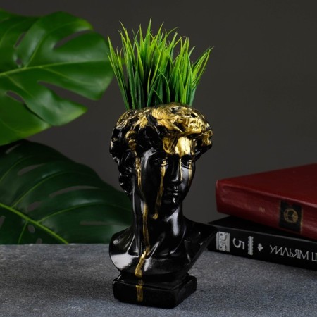 Kashpo - organizer "Bust of David" black, 17x9x10cm-1