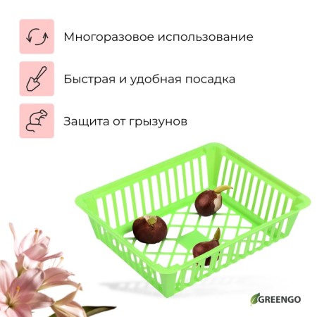 Basket for bulbous, square, 25 × 20 cm, color mix, Greengo-1