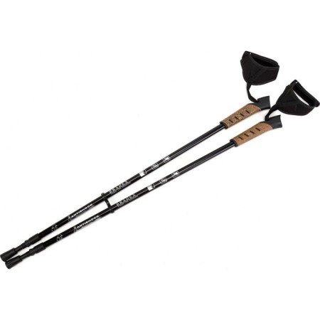 Scandinavian walking BRADEX Walking Nordic Style Pro, Carbon Telescopic
