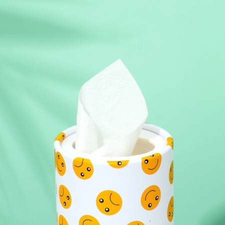Napkins in a tube 50 pcs, 2 layers "Smile"-2