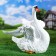 Garden figure "Swan with wings" 41x36x37cm