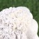 Garden figure "lamb lies" 29x15x17cm ////