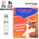 Subject notebook A5, 36 liters on the paper clip “September 1: memes. Russian language"