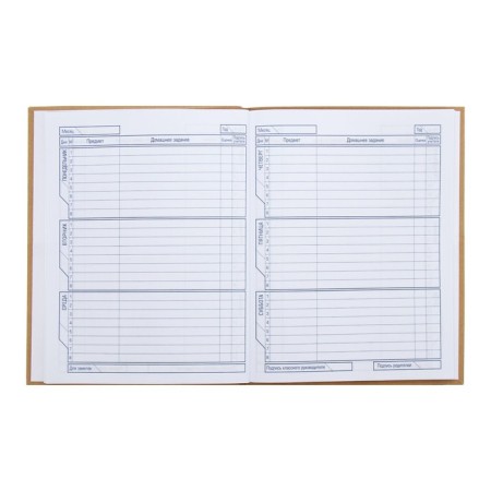School diary for grades 1-11 "Stranger", integral cover, matte lamination, 40 sheets-6