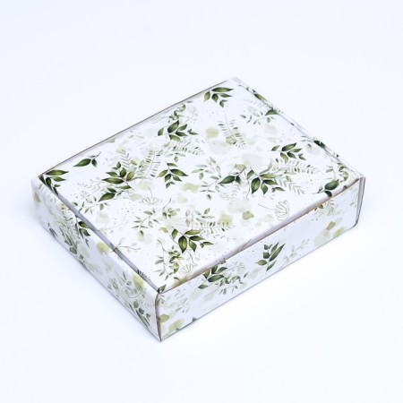 Box cover is “green plants”, with a window, 18 x 15 x 5 cm-2