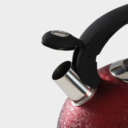 A kettle with a stainless steel whistle Snow, 3 l, induction, red color-3