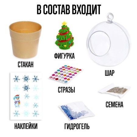 Set for experiments "New Year Florarium"-2